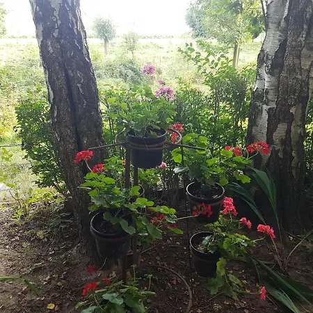 De Zeilende Kraay Katwijk