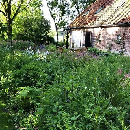 Penzion De Zeilende Kraay Katwijk