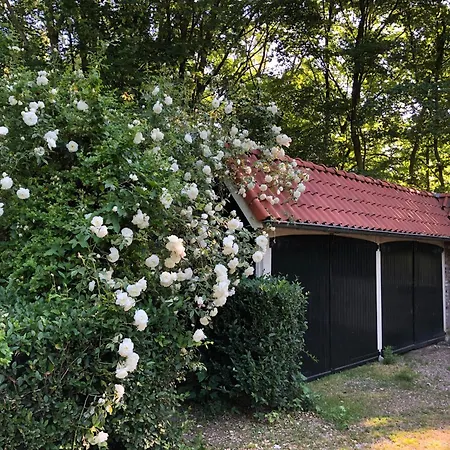 De Zeilende Kraay Katwijk