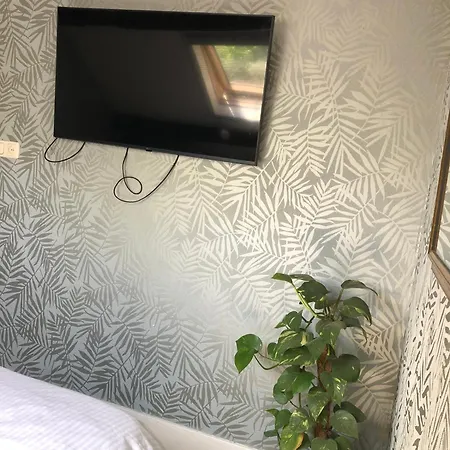 Guest house De Zeilende Kraay Katwijk