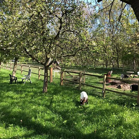 De Zeilende Kraay * Katwijk