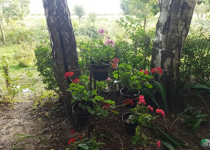 De Zeilende Kraay Katwijk