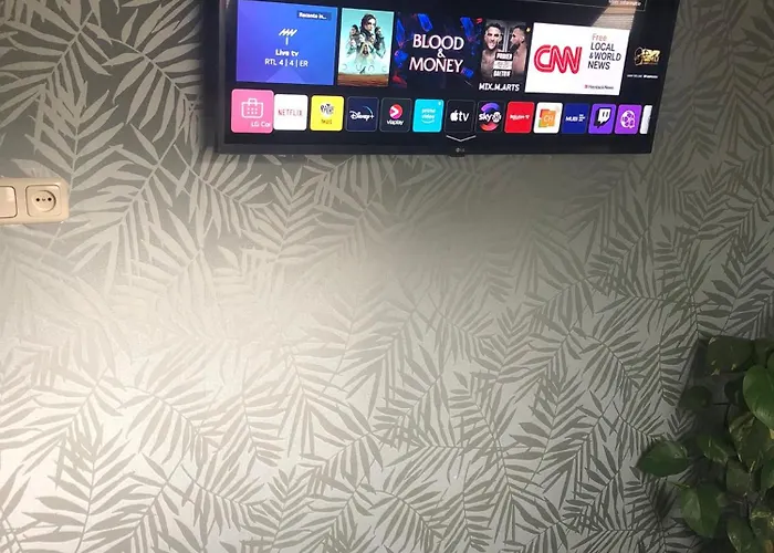 بيت ضيافة De Zeilende Kraay *