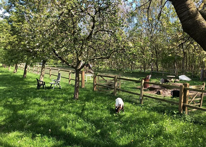 De Zeilende Kraay * Katwijk