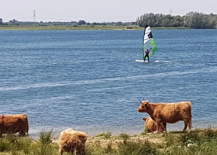 Gasthuis De Zeilende Kraay Katwijk