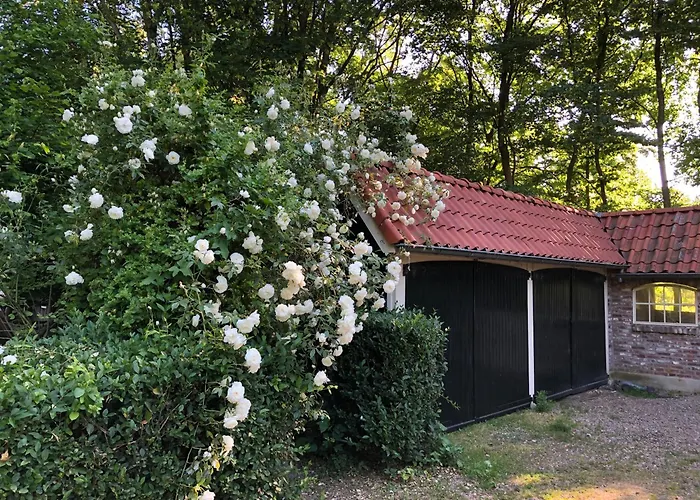 De Zeilende Kraay Katwijk